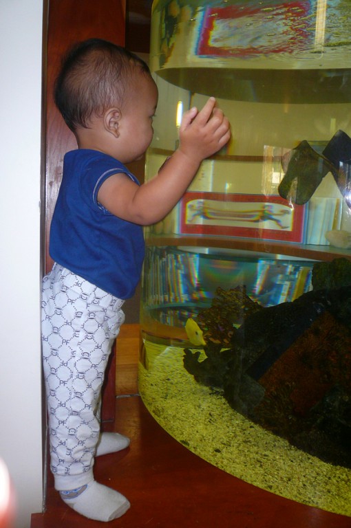 Willy Boy loves watching "Finding Nemo."